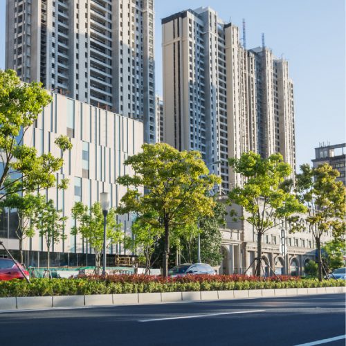 Dự án thương mại 2